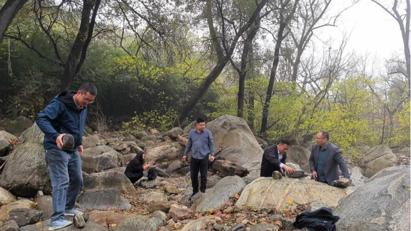 微信图片_20241123161147