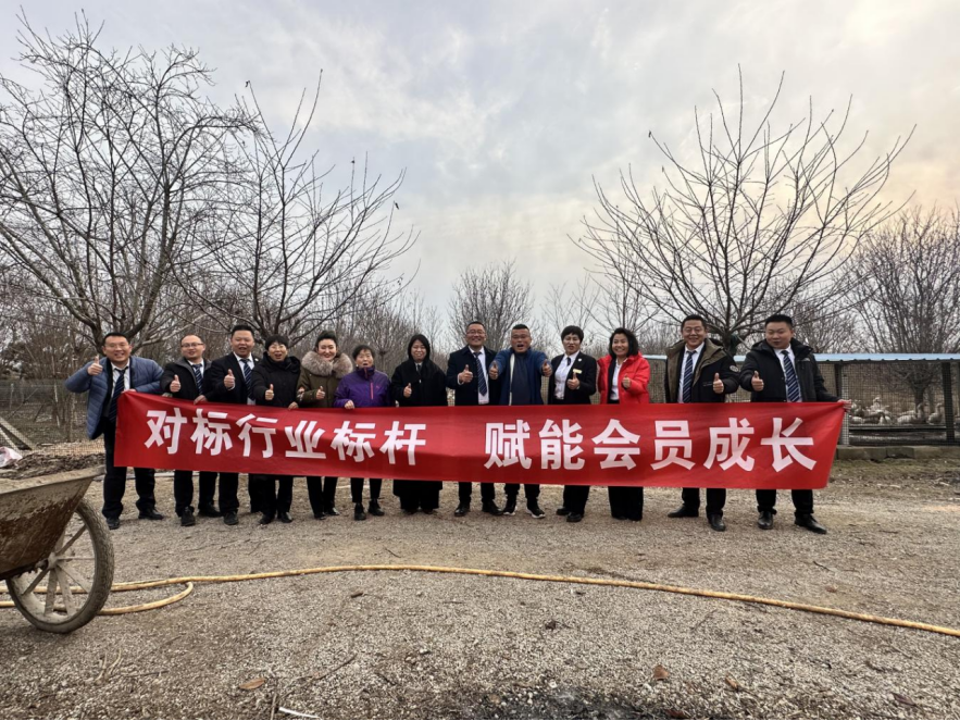 微信图片_20250108161811 微信图片_20250108161811