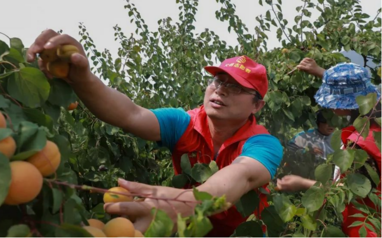 f0c939f0a4f292bd875b7226d5c33c67